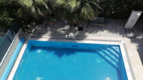 Aydın villa 2